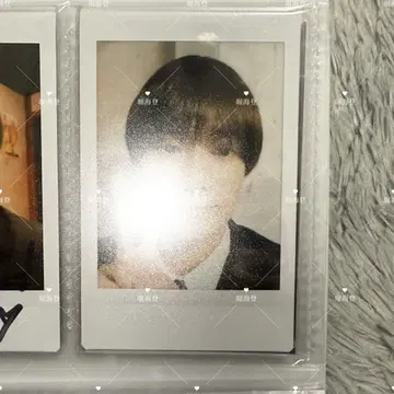 호리 카이토 폴라로이드