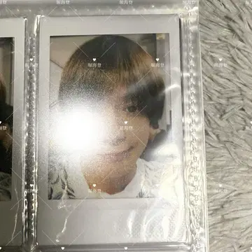 호리 카이토 폴라로이드