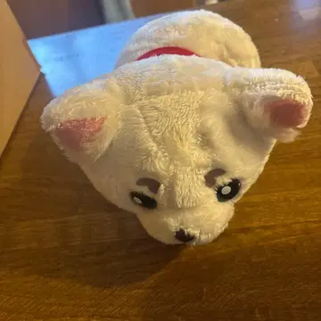 제일복권 은혼 사다하루 봉제 인형 D상