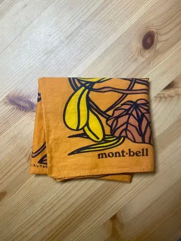 몽벨 알파인 플랜츠 반다나 오렌지