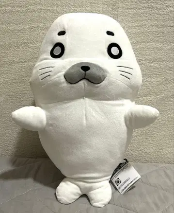 소3 아시베 QQ 고마짱 메챠모후굿토 봉제 인형