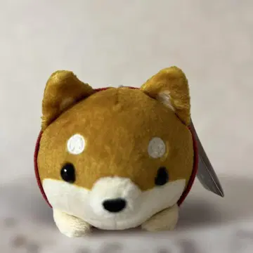 지역 한정 히다 한정 코로시바 사루보보 봉제 인형 마스코트 시바견