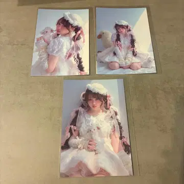 LARME 069 사쿠라바 하루카 엽서