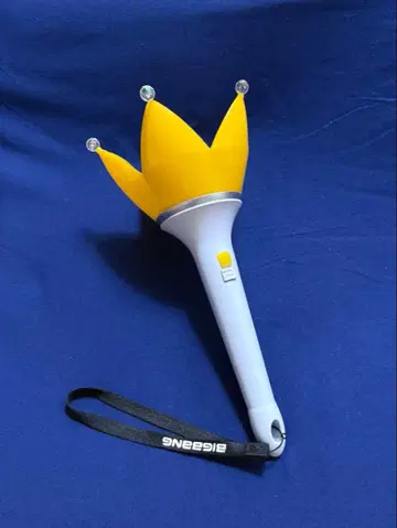 BIGBANG 응원봉 한국판 점등 확인되지 않았습니다