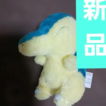 포켓몬 히노아라시 메챠모후굿토 호코리 이야사레 봉제 인형 최종 세일