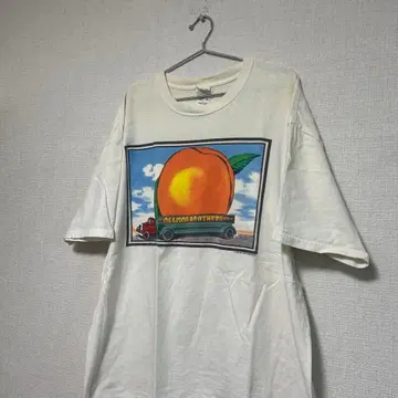초레어 90s 올맨 브라더스 밴드 티셔츠 앤빌