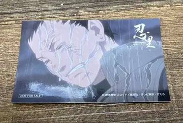 NARUTO 니지겐노모리 닌리 한정판 비오는 날 스티커 시카마루