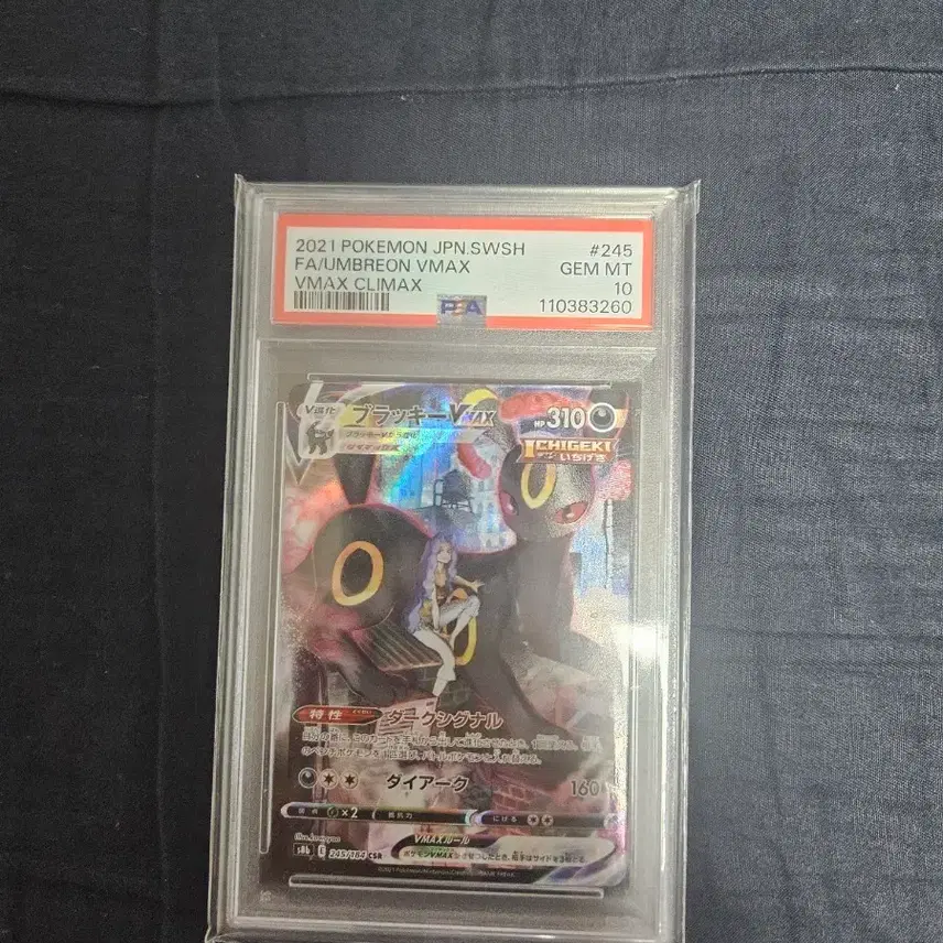 포켓몬카드 일판 블래키 psa10