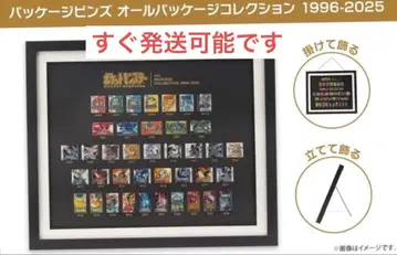 패키지 핀즈 올 패키지 컬렉션 1996-2025 포켓몬