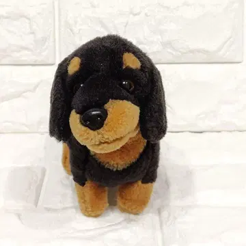 REGALO 닥스훈트 봉제 인형