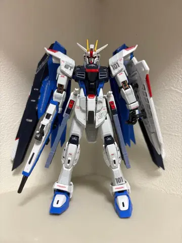 RG 1/144 프리덤 건담
