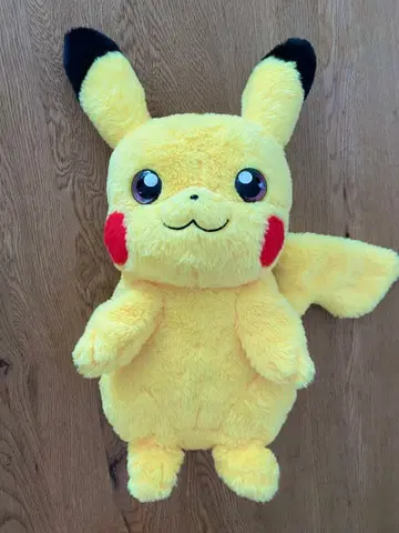 포켓몬스터 집에 있는 포켓몬 PIKACHU