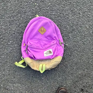 레어 THE NORTH FACE 백팩 퍼플 베이지