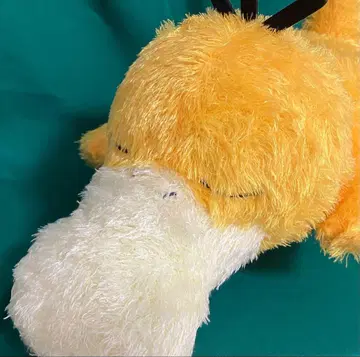 포켓몬 코닥 봉제 인형