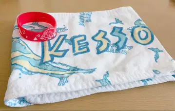 봇치 더 록! 페스티벌 타월 리스트 밴드