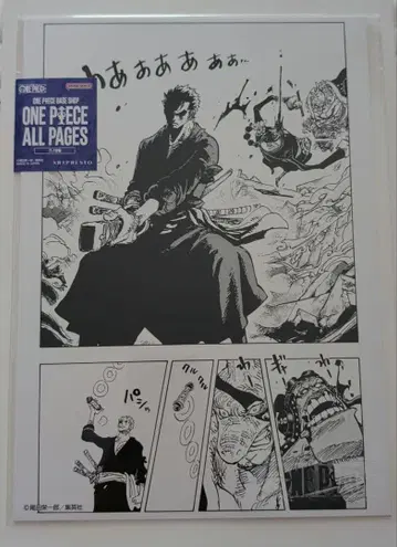 ONE PIECE ALL PAGES 포스터 조로