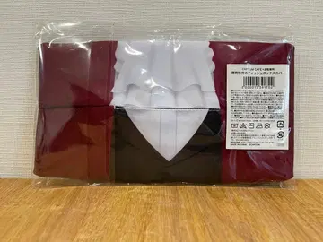 CAPCOM CAFE 역전재판 미츠루기 레이지 티슈 박스 커버