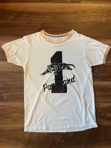 80s Champion 트리코 태그 링거T셔츠 Parkland L
