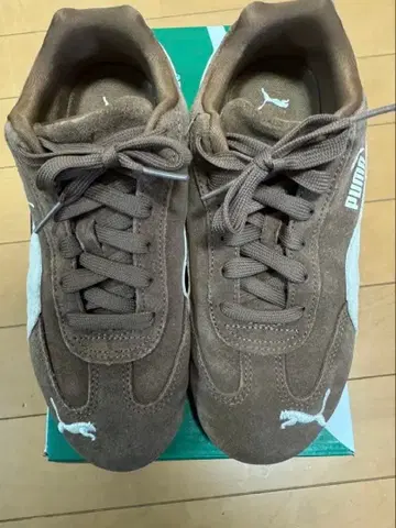 PUMA 스피드캣 OG (23cm)