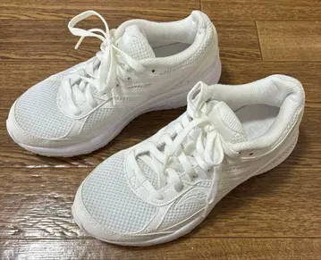 Saucony 써코니 스니커즈 COHESION14 S20628-21