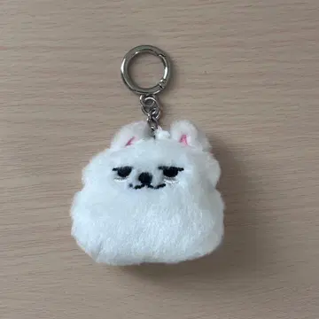 TXT 뿔바투 용몬 페이스 키링