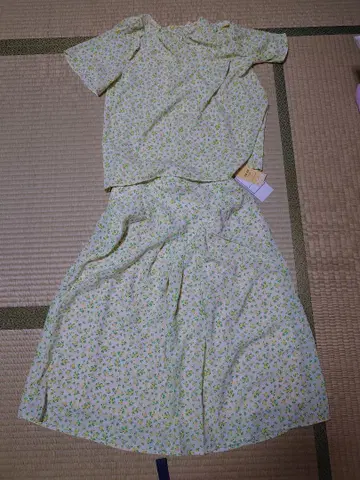 로페피크닉 아델리아 레트로 셋업