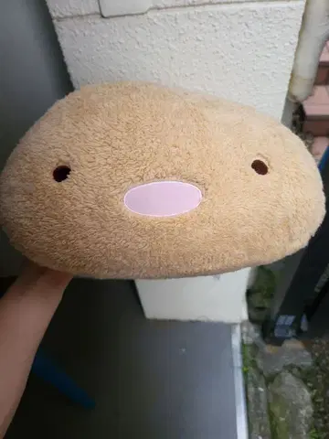 스미코구라시 돈카츠 봉제 인형 쿠션