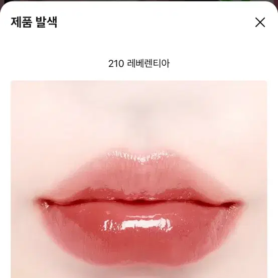 Dinto リプティント 210 レベレンティア