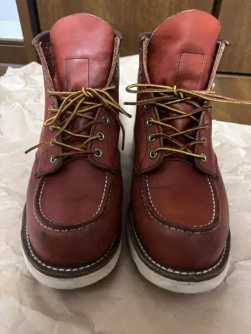레드윙 REDWING 아이리쉬 세터 8875 8E