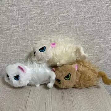따르지 않는 고양이 공원의 고양이 집주인의 고양이 저택의 고양이