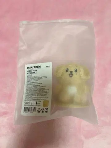 SEVENTEEN MINITEEN MAGNET PLUSH KEYRING