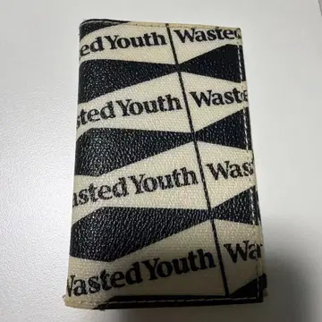 wasted youth 카드 케이스 medicom toy