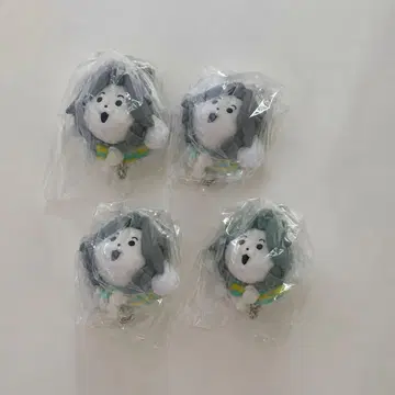 언더테일 테미 4개 세트