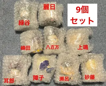 제일복권 히로아카 F상 9개 세트