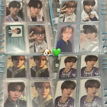 NCT WISH 데욘 재희 jaehee 트레이딩 카드 묶음 판매