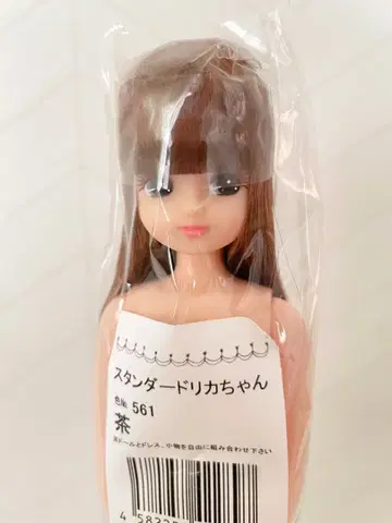 스탠다드 리카짱 색상 No.561 브라운 인형 본체