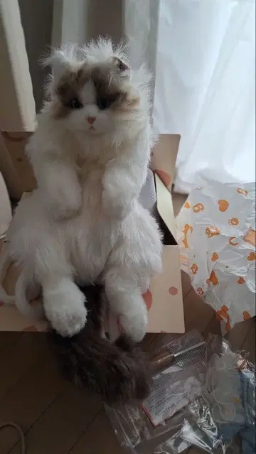 가격 인하 불가 택 포함 새상품 리얼 고양이 봉제 인형 백팩