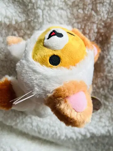 리락쿠마 고양이 인형옷 봉제 인형