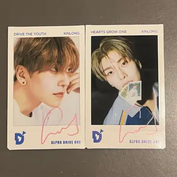 ald1 신롱 폴라로이드 dicon popup 2장 세트