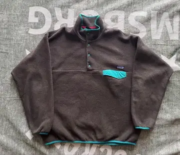patagonia 신틸라 브라운