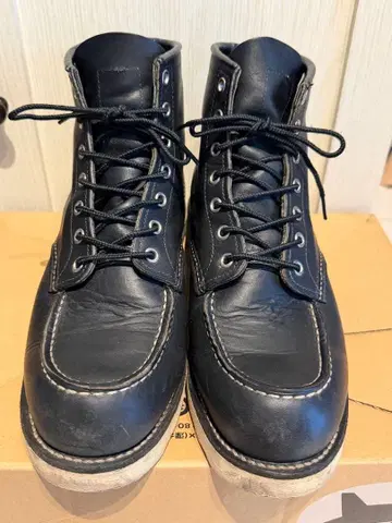 RED WING 아이리쉬 세터 9075