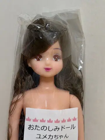 리카짱 캐슬 즐거운 인형 유메카짱