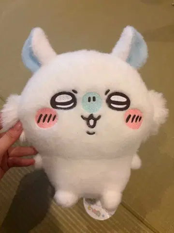 모몽가 시이푸와 봉제 인형