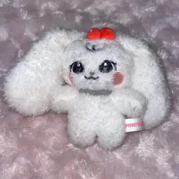 IVE minive cherry 원영 10cm 키링