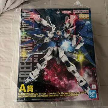 MG 1/100 프리덤 건담 Ver.2.0 솔리드 클리어