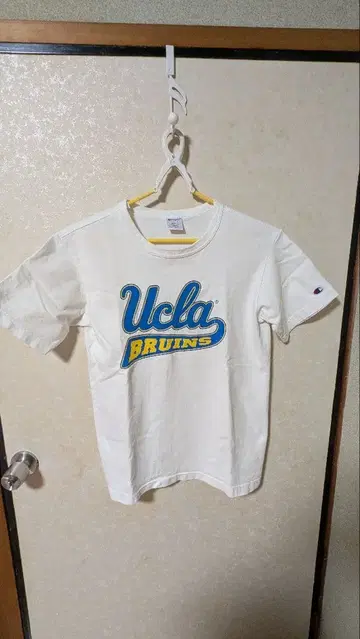 Champion T1011 UCLA BRUINS 티셔츠