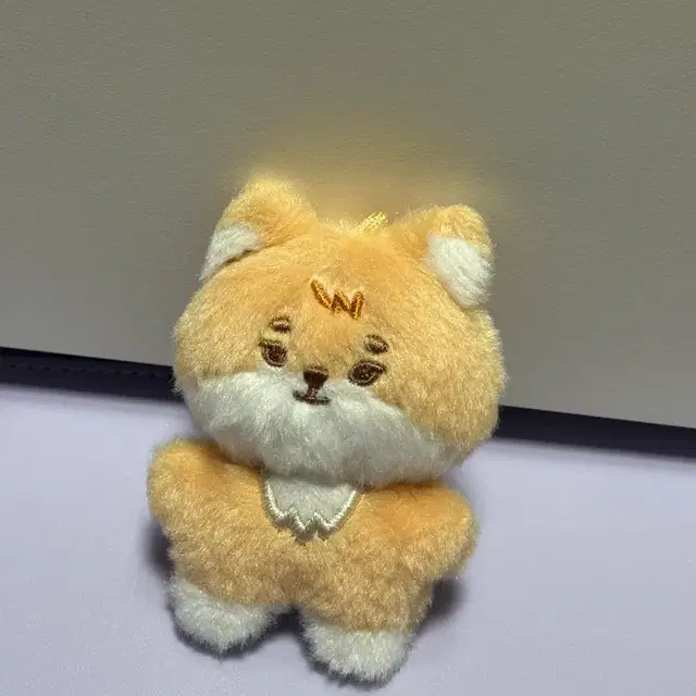 데이식스 쁘쁘멀 케 양도