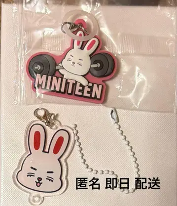 SEVENTEEN 세븐틴 MINITEEN 미니틴 에스쿱스 마스코트