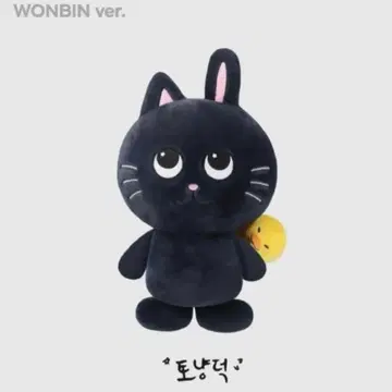 [ 최종 가격 인하 ] RIIZE 원빈 토냥덕 40cm 봉제 인형