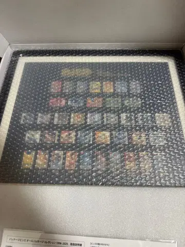 포켓몬 패키지 핀즈 올 패키지 컬렉션 1996-2025